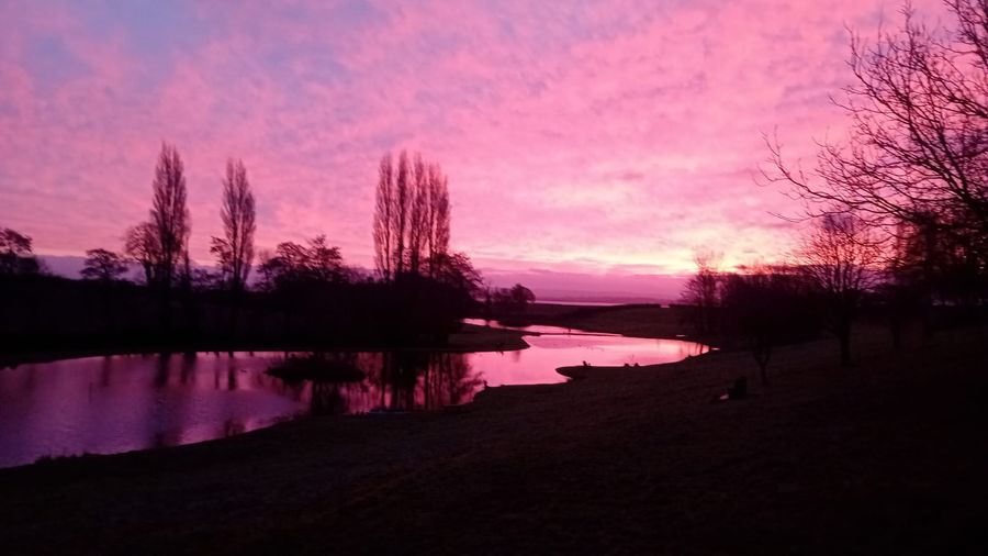 A pink dawn over the lake, Court Farm Lakes